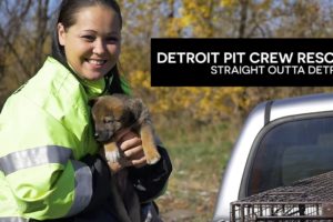 Caught On Camera! Abandoned Puppies Rescued from Under House in Detroit - Hope For Dogs Like My DoDo