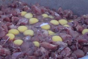 Chicken Pakora Preparation In Indian Street | Street Food In Puri(Orissa,India)