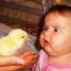 Composite vVideo Of The Baby When Playing With Animals - Baby Humor