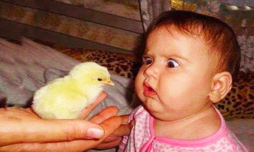 Composite vVideo Of The Baby When Playing With Animals - Baby Humor