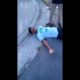 Crazy Knockouts In The Hood Compilation 2019