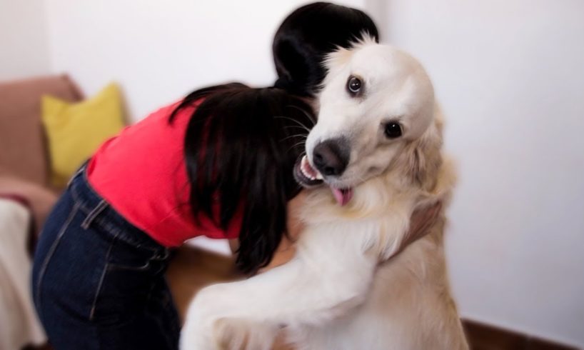 Cute Dog Bailey Loves to Hug With Mommy [CUTEST VIDEO EVER]