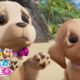 Cute Puppy Eyes | Barbie & Her Sisters in a Puppy Chase | Barbie