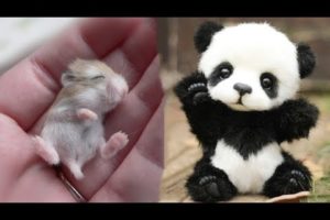 Cute baby animals Videos Compilation cute moment of the animals - Cutest Animals On Earth #8