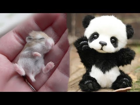 Cute baby animals Videos Compilation cute moment of the animals - Cutest Animals On Earth #8