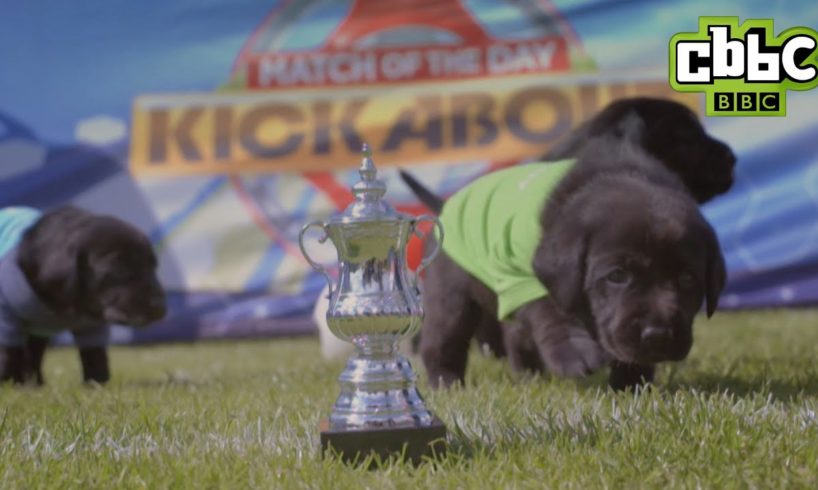 Cute puppies play in FA 'Pup' Final on MOTD Kickabout - CBBC