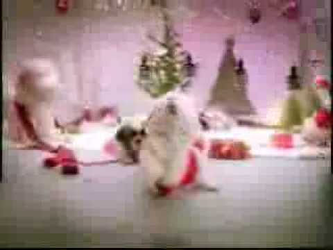 Cute puppies singing a christmas song!!!