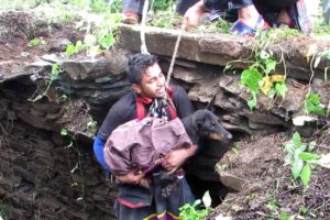 Dog sobs when she sees rescuer coming to save her
