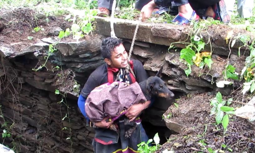 Dog sobs when she sees rescuer coming to save her