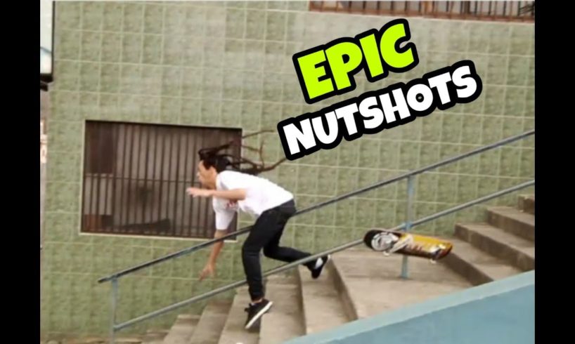 Epic Nut Shots  2019 || Best Nut Shots Compilation || By Funny and Fails ||