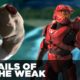 Fails of the Weak: Ep. 270 - Fallout 4 and Halo 5!