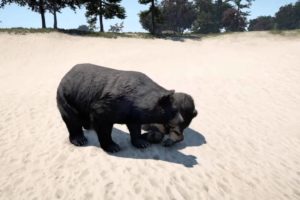 Far cry 4 Animal Fights PS4