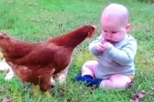 Funny Babies Meet Animals in The Small Garden - Baby Outdoor Videos