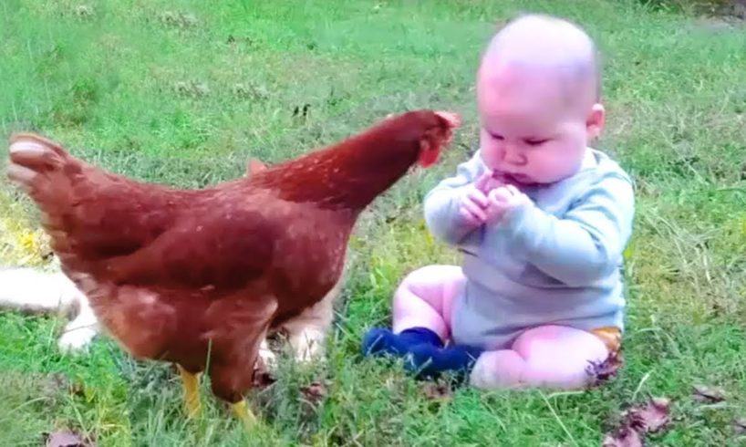 Funny Babies Meet Animals in The Small Garden - Baby Outdoor Videos