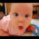 Funny Babies Playing With Animals | Cute Funny Baby Videos