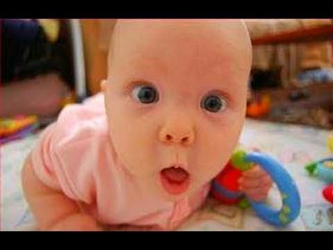 Funny Babies Playing With Animals | Cute Funny Baby Videos