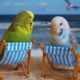 Funny Parrots Videos Compilation cute moment of the animals - Cute Parrots #9