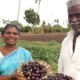 Gutti Vankaya Masala Curry-brinjal spicy curry( స్పెషల్ గుత్తి వంకాయ కూర)