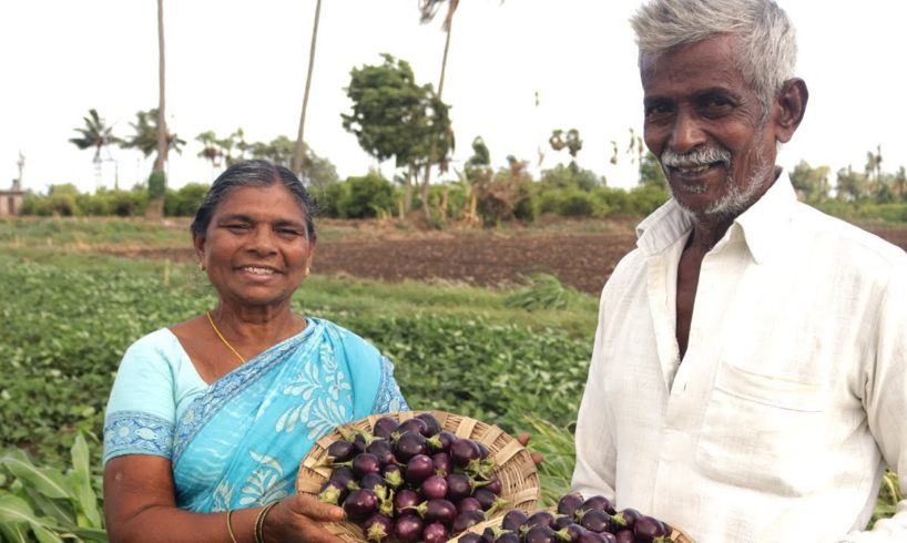 Gutti Vankaya Masala Curry-brinjal spicy curry( స్పెషల్ గుత్తి వంకాయ కూర)
