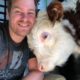 Guy Quits His Job To Rescue Animals | Dodo Heroes