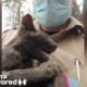 Guy Rescues Kitten From Wildfire  | The Dodo Faith = Restored