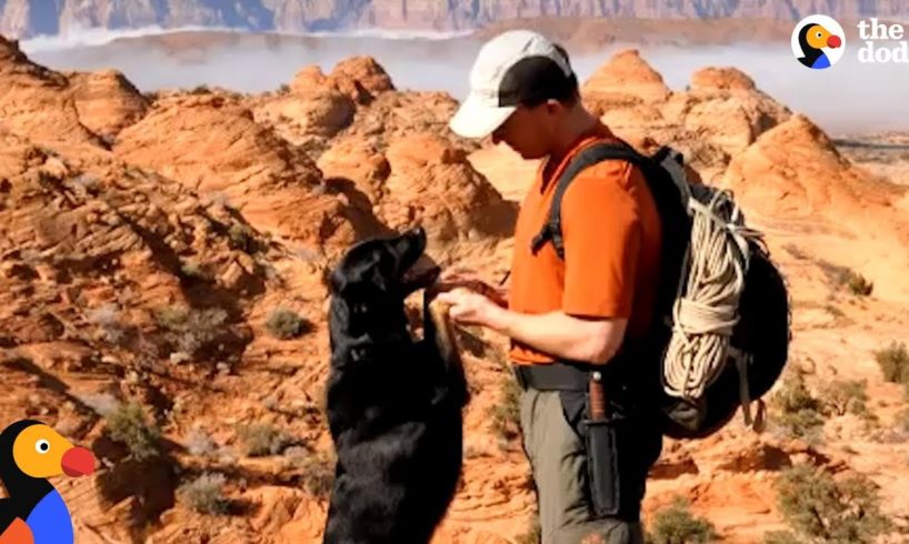 Guy Rescues Puppy Abandoned In Canyon UPDATE | The Dodo