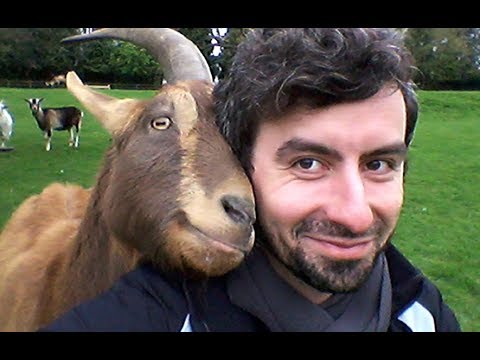 HUMAN AND ANIMALS showing love make HEART Melting - CUTE Animals Hugging People