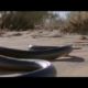 How snakes move & 'run' - Serpent - BBC Animals
