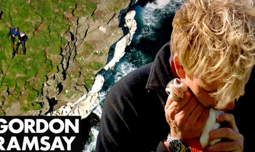 Hunting Puffins On The Edge Of A Cliff In Iceland - Gordon Ramsay