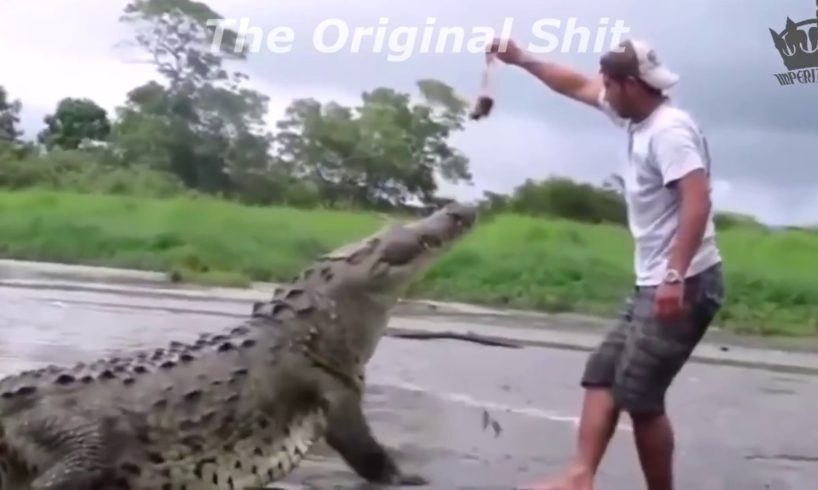 I put spongebob music over NEAR DEATH videos