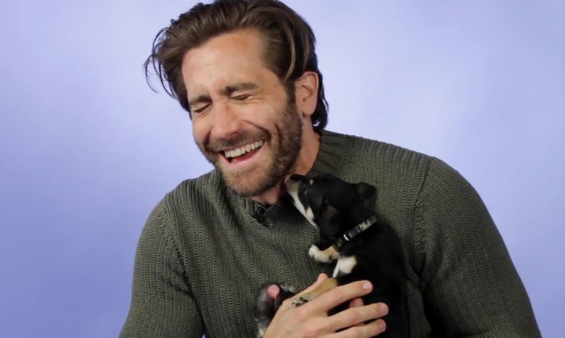 Jake Gyllenhaal Plays With Puppies While Answering Fan Questions