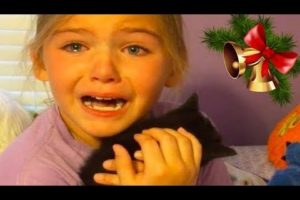 KIDS REACTIONS To Kitten And Puppy Surprise On Christmas Compilation 2017