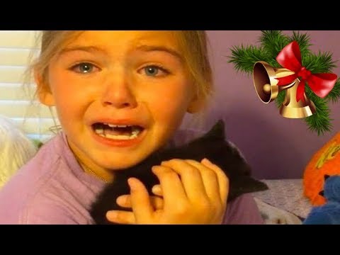 KIDS REACTIONS To Kitten And Puppy Surprise On Christmas Compilation 2017