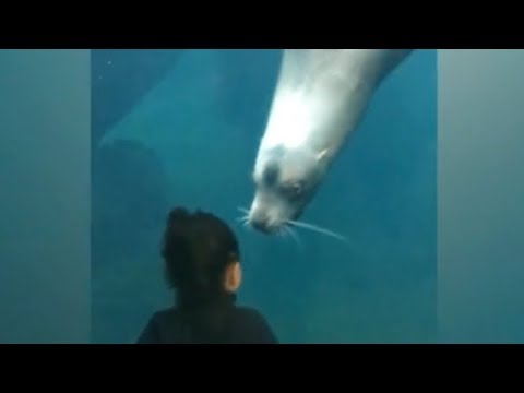 KIDS visit WATER ANIMALS at ZOO! - Best REACTIONS ever :)