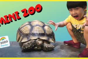 Kid Plays with ZOO ANIMALS GIANT TURTLE at Mini Zoo BIRD PARK