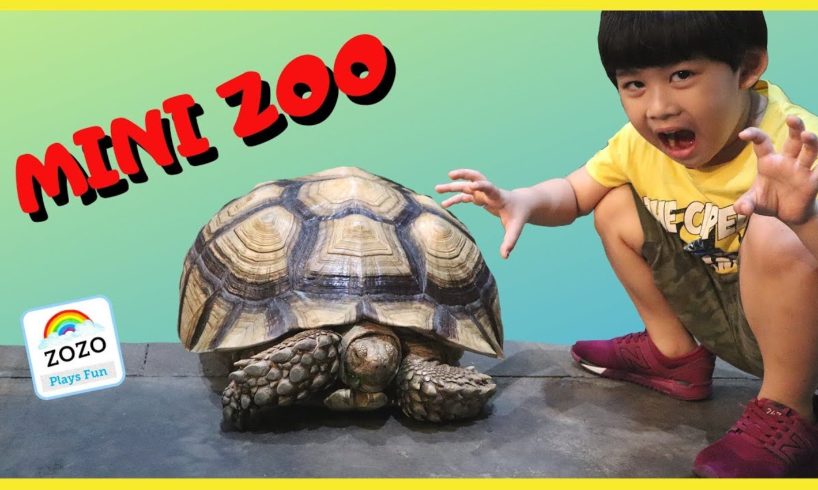 Kid Plays with ZOO ANIMALS GIANT TURTLE at Mini Zoo BIRD PARK