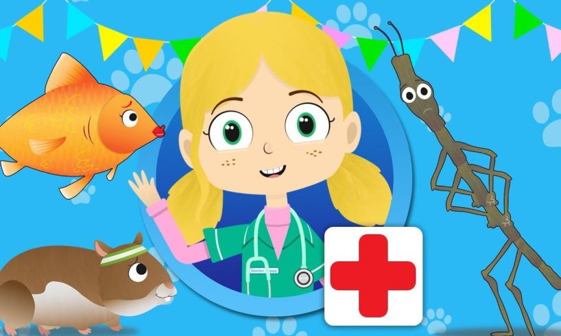 Lucy The Goldfish Visits Dr Poppy's Pet Rescue | Animals For Kids