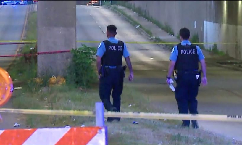 Man found dead in apparent hit-and-run near Eisenhower Expressway