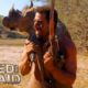 Matt Hunts Down a Warthog | Naked and Afraid