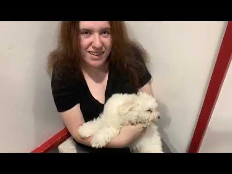 Me Playing With The Cutest Puppy Ever! [6/29/19]