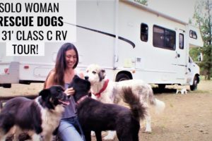 Meet A SOLO FEMALE RVer with SIX RESCUE DOGS Traveling in a CLASS C RV! TOUR HER RIG AND LEARN...