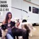 Meet A SOLO FEMALE RVer with SIX RESCUE DOGS Traveling in a CLASS C RV! TOUR HER RIG AND LEARN...