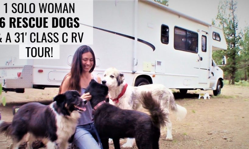 Meet A SOLO FEMALE RVer with SIX RESCUE DOGS Traveling in a CLASS C RV! TOUR HER RIG AND LEARN...