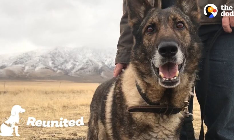 Military Dog Is SO Happy To Finally Be Home With His Dad | The Dodo Reunited