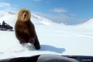 NEAR DEATH EXPERIENCES CAPTURED by GoPro pt.13 [Amazing Life]