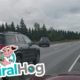 Near Miss with a Moose on Alaskan Highway || ViralHog