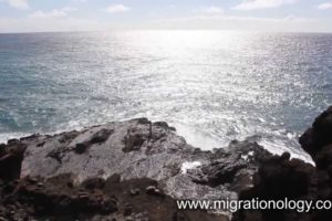 Oahu Island, Hawaii (in HD Video)