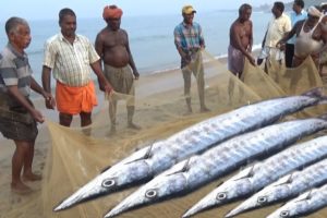People Chanting & Fishing | Amazing Fish Catching Process | Kovalam Beach Kerala India