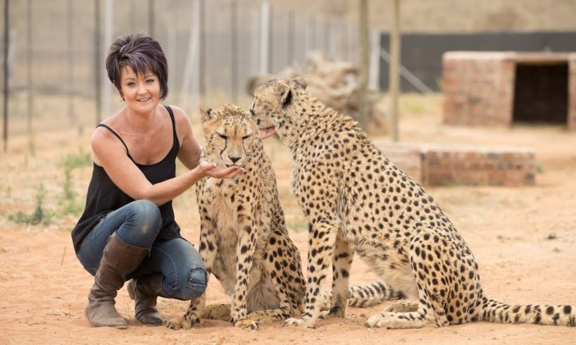 Petite Woman Is Best Friends With Big Cats | BEAST BUDDIES