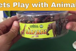 Play Time for Kids - 48 Safari Animal Toys, Bucket Full of Animals. Lions, Tigers, Zebras, Hippo etc